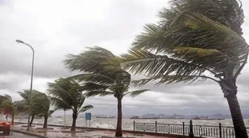 تحذير أرصادي.. رياح تثير الرمال بالقاهرة وأمطار شمالية على السواحل